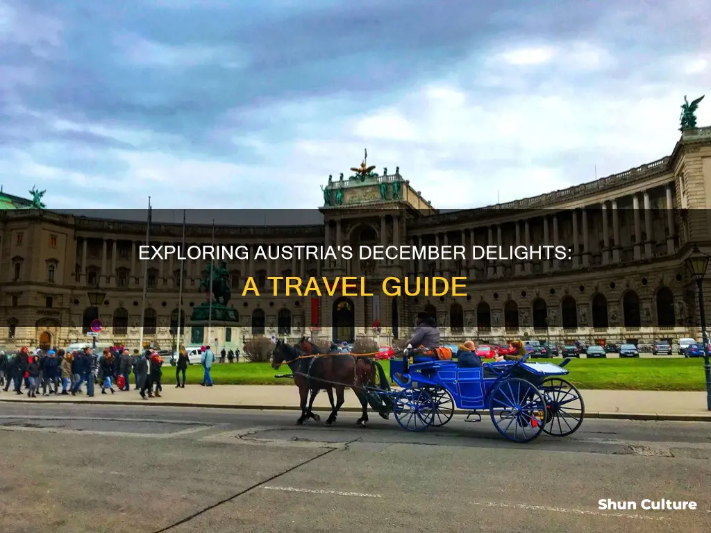 what to see in austria in december