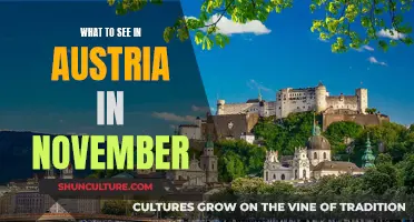 Exploring Austria's November Delights: A Travel Guide