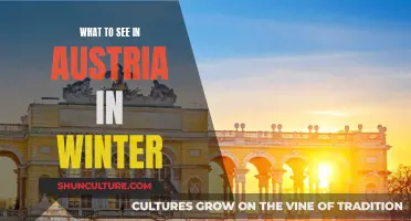 Winter Wonders: Exploring Austria's Best Sights