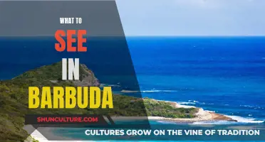 Exploring Barbuda: Must-See Attractions and Adventures