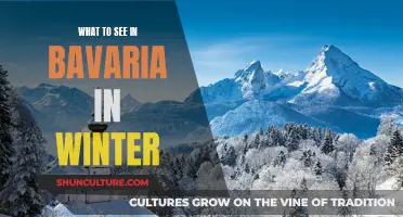 Winter Wonders in Bavaria: What to See