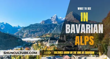 Exploring the Bavarian Alps: A Nature Lover's Paradise