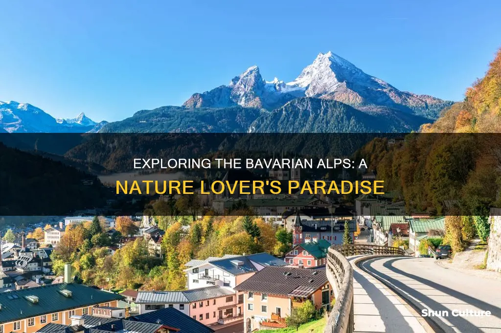 what to see in bavarian alps