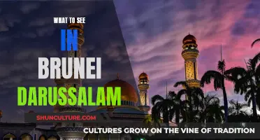 Exploring Brunei Darussalam: A Cultural and Natural Odyssey