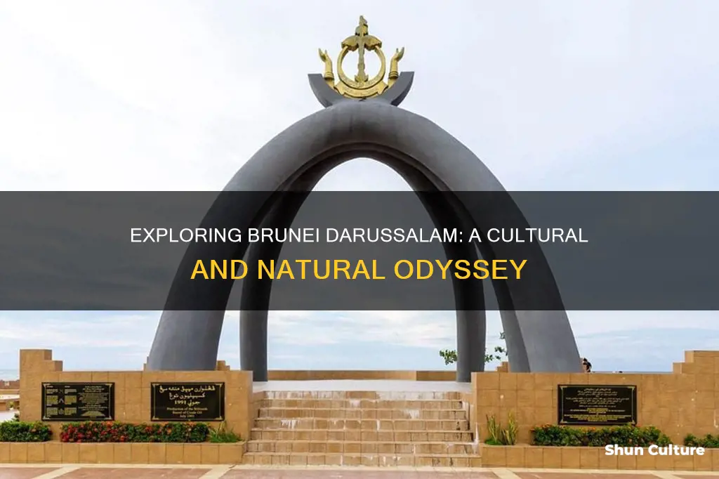 what to see in brunei darussalam