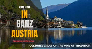 Uncover Austria's Treasures: A Guide to the Country's Must-See Attractions