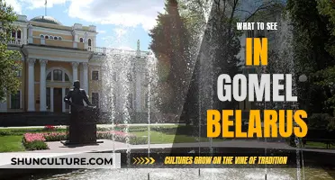 Exploring Gomel, Belarus: A Comprehensive Travel Guide