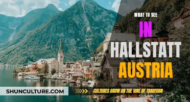 Hallstatt's Must-See Attractions: A Guide to Austria's Gem