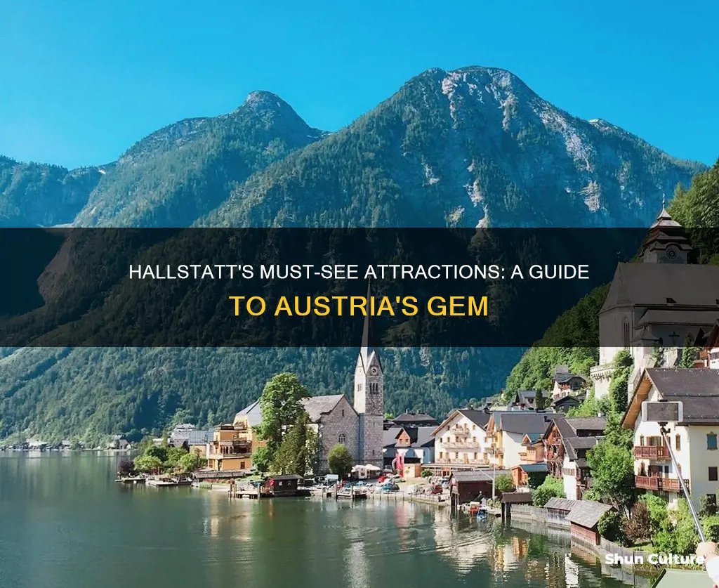 what to see in hallstatt austria