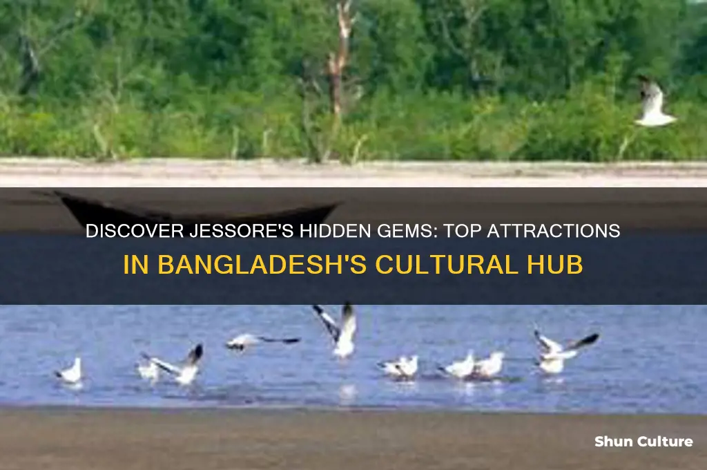 what to see in jessore bangladesh