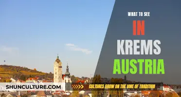 Krems' Hidden Gems: A Guide to Austria's Cultural Treasures