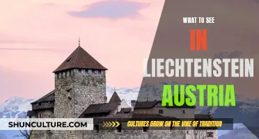 Liechtenstein's Majestic Mountains: A Guide to Austria's Hidden Gems