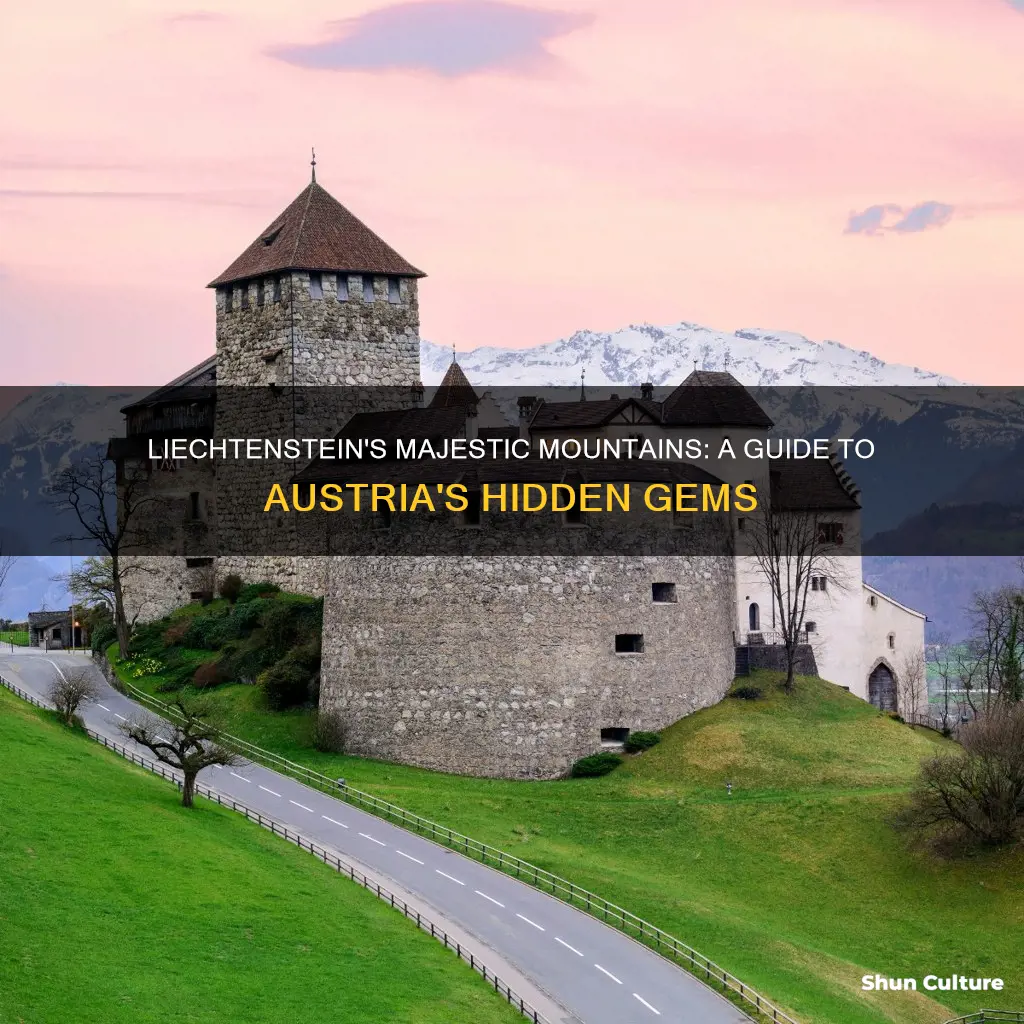 what to see in liechtenstein austria