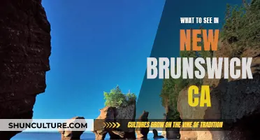 Explore New Brunswick, Canada's Coastal Wonders