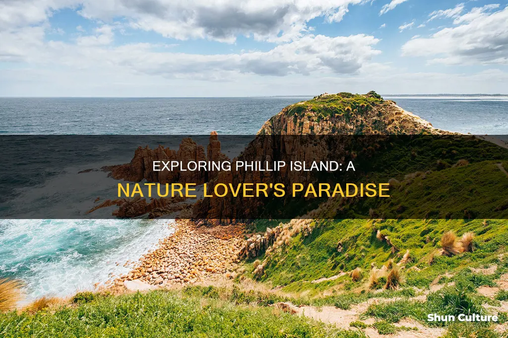 what to see in phillip island australia