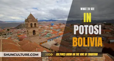 Exploring Potosí, Bolivia: A City of Rich History and Culture