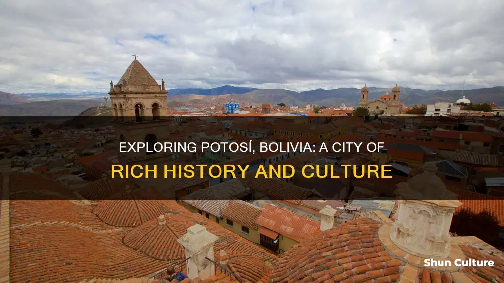 what to see in potosi bolivia