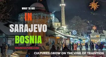 Sarajevo's Must-See Attractions: A Guide to Bosnia's Historic Gem