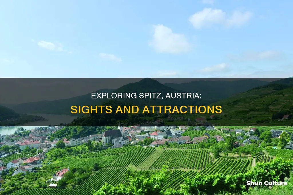 what to see in spitz austria