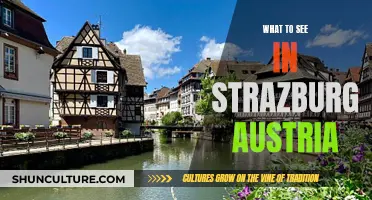 Strasbourg's Charms: A Guide to Austria's Hidden Gem