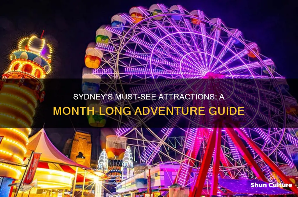 what to see in sydney australia in one month