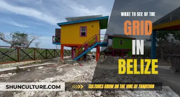 Belize's Off-Grid Adventure