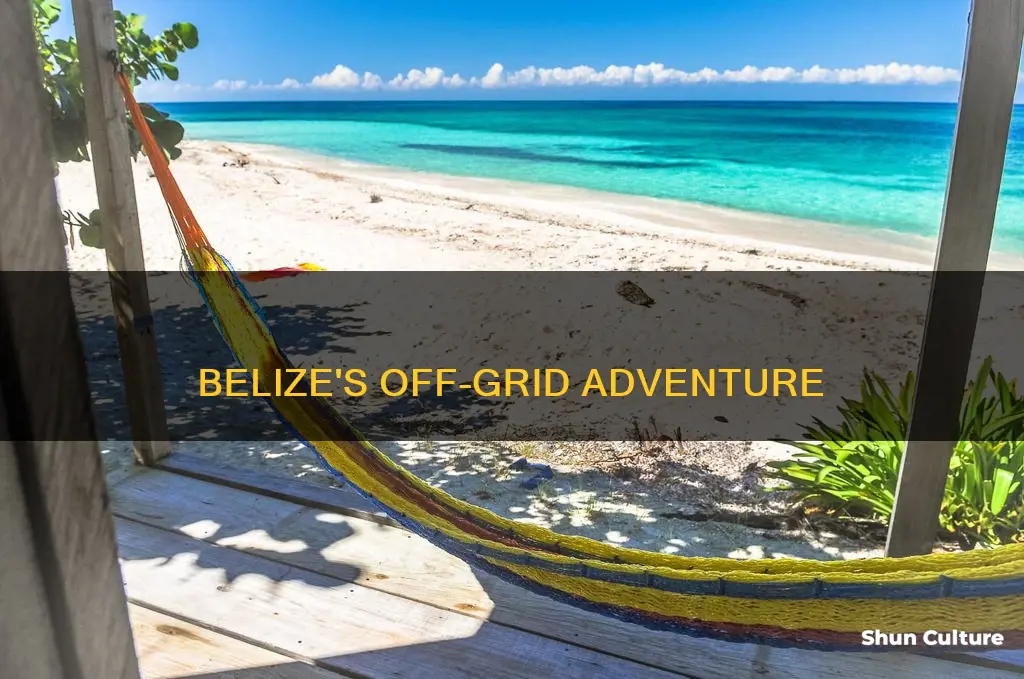 what to see of the grid in belize