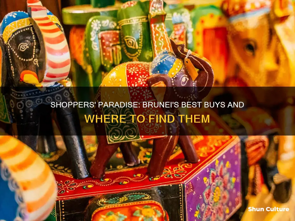 what to shop in brunei