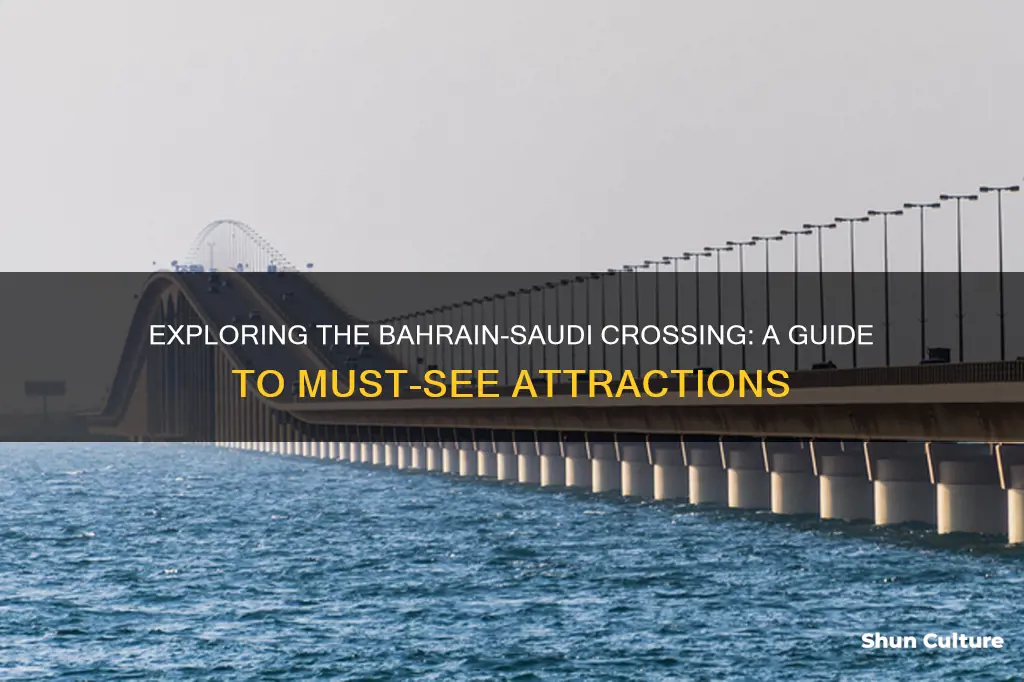 what to show bahrain saudi crossing