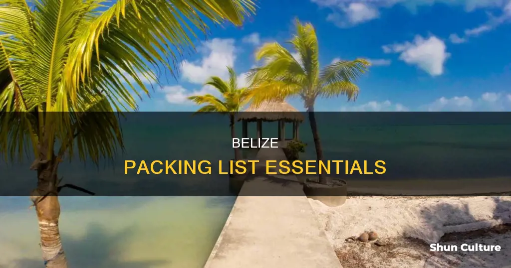 what to take belize