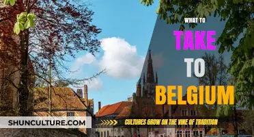 Essential Items to Pack for Your Belgium Adventure