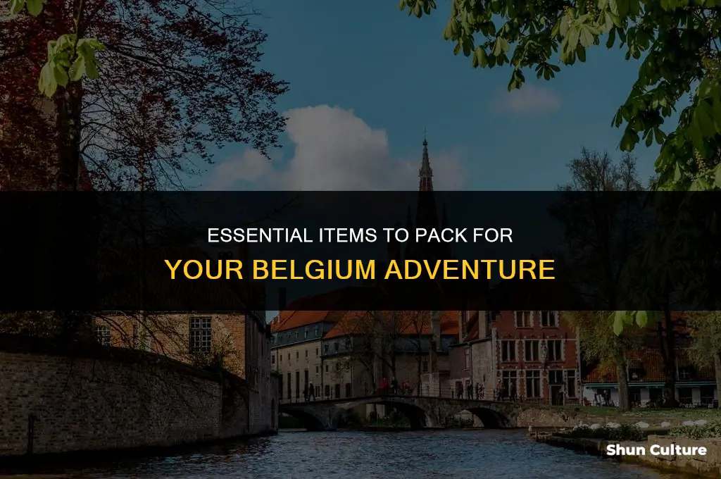 what to take to belgium