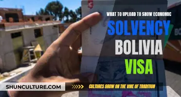 Show Economic Solvency for Bolivia Visa: What to Upload?