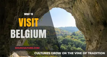 Discover Belgium's Hidden Gems: A Traveler's Guide