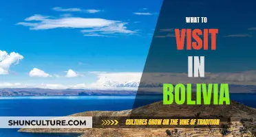 Discover Bolivia's Must-See Attractions and Destinations