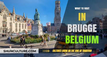 Exploring Brugge: Unveiling Belgium's Medieval Gem