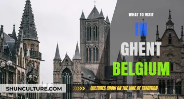Discovering Ghent: Belgium's Hidden Gem of History and Charm