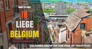 Discovering Liege: Unveiling Belgium's Hidden Gem