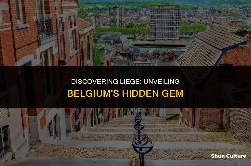 what to visit in liege belgium