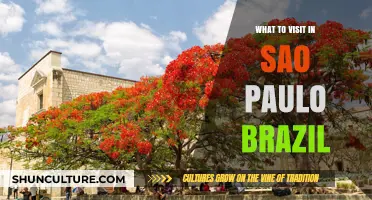 Discover São Paulo's Must-See Attractions and Hidden Gems in Brazil