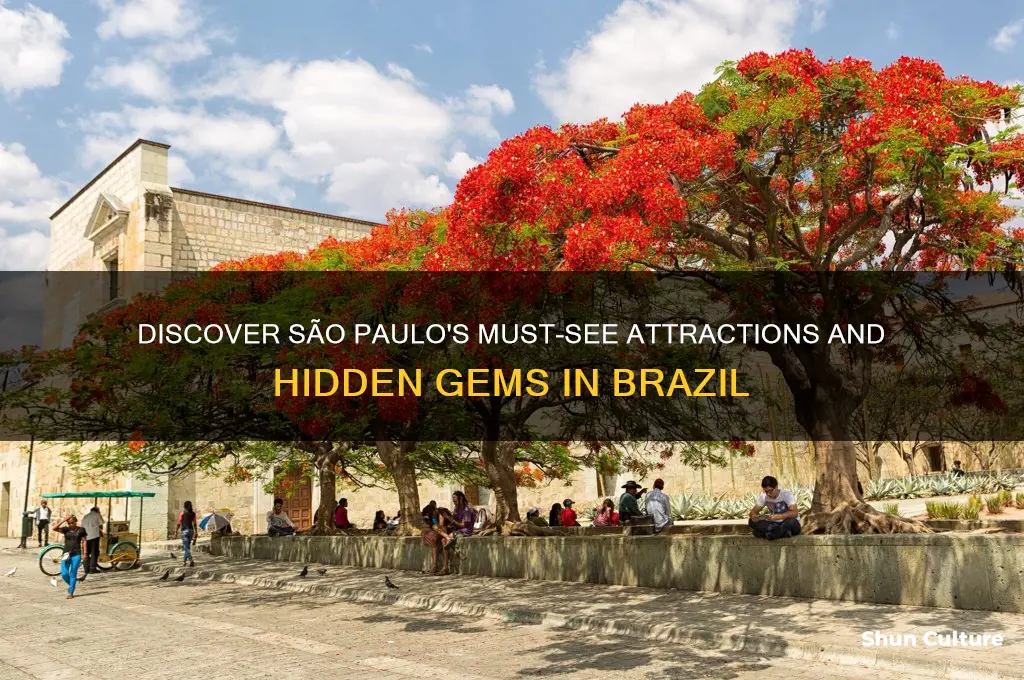 what to visit in sao paulo brazil