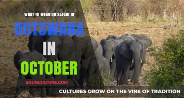 October Safari Style: Smart Packing Tips for Botswana Adventures