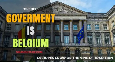Exploring Belgium's Government Structure: A Comprehensive Guide