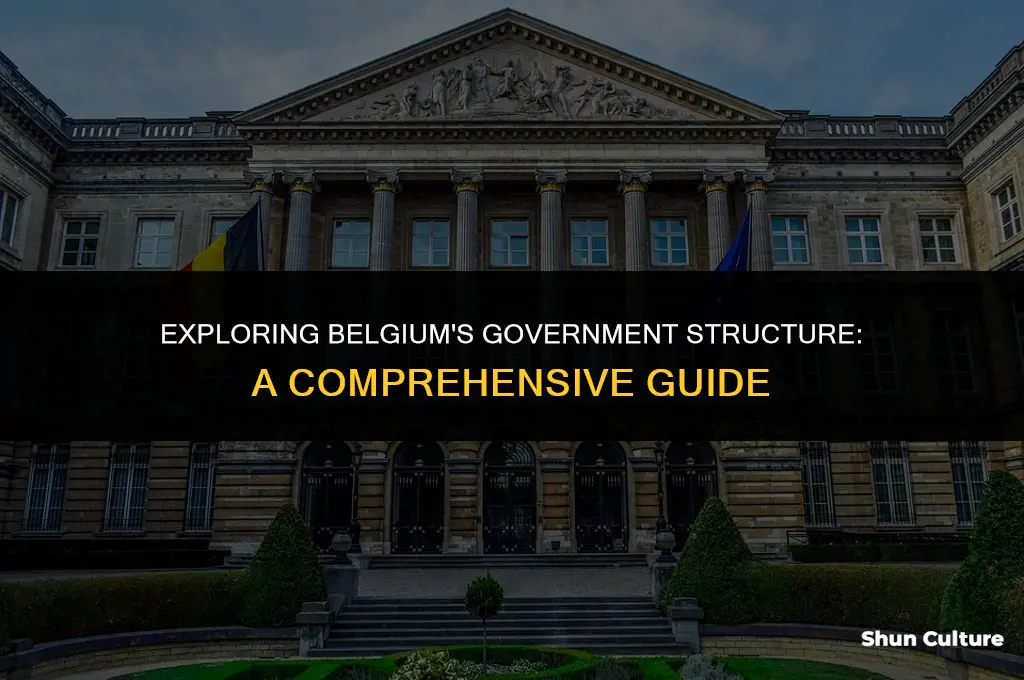 what top of goverment is belgium