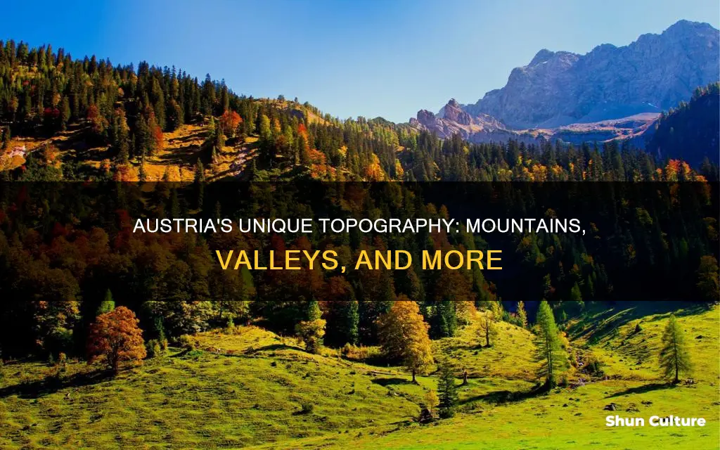 what topographical details of austria