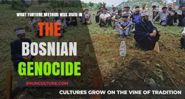 Bosnian Genocide Torture Methods: Uncovering the Brutal Techniques Used