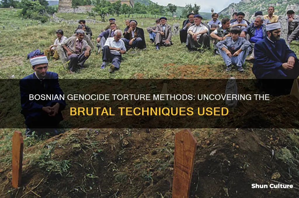 what torture method was used in the bosnian genocide