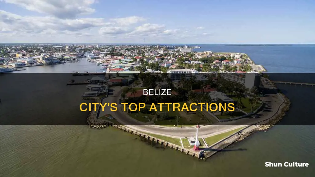 what tourist attractions are in belize city city