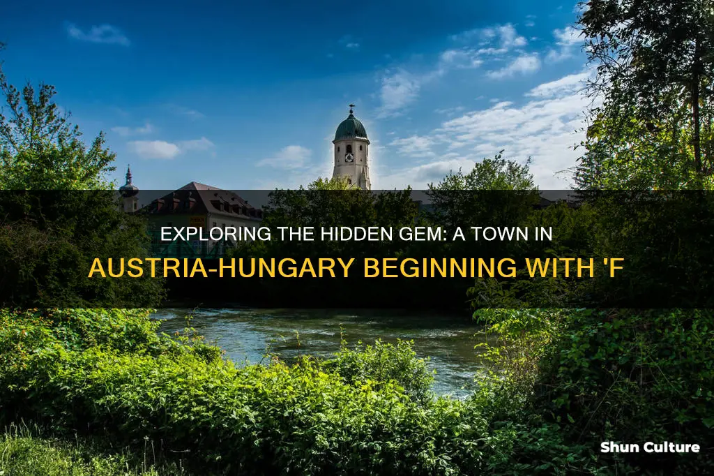 what town in austria hungarystarts with f