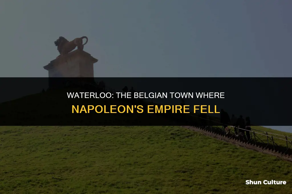 what town in belgium did napoleon meet his demise